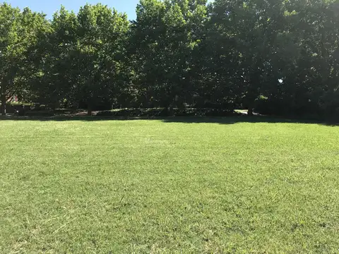 Lote Central en Esquina en venta en Martindale - Teresa Urdapilleta Propiedades