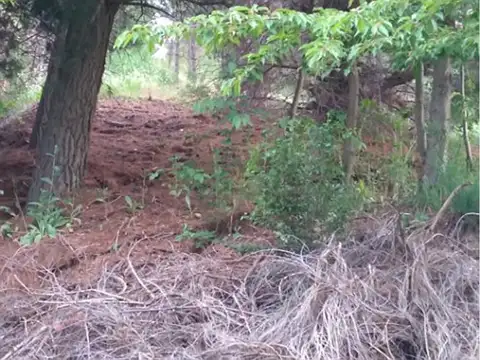 Terreno con Arroyo y Cascada en Barrio Sigrand, 1200 m2