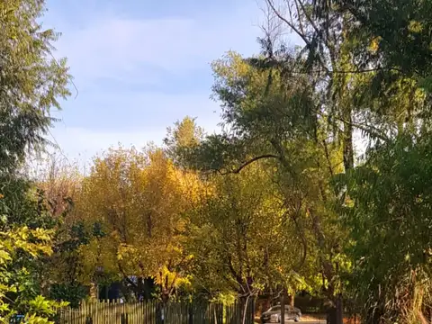 Casa en Venta en Santa María del Tigre, USD 980.000