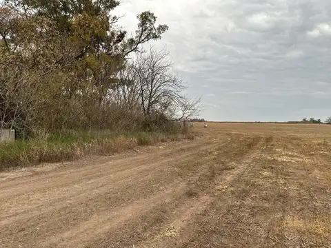 Ruta 8 100