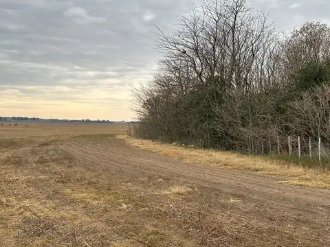 CAMPO de 27,2 hectareas en La Luisa - cerca Capital Sarmiento y Arrecifes