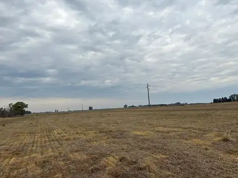 CAMPO de 27,2 hectareas en La Luisa - cerca Capital Sarmiento y Arrecifes