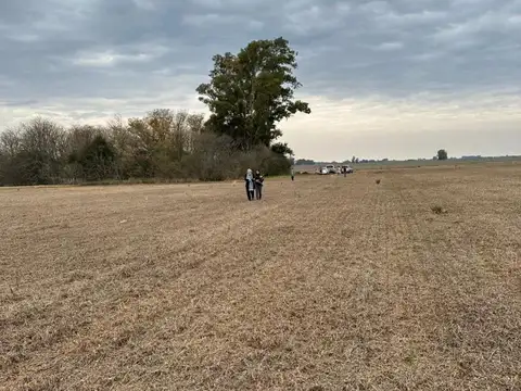 CAMPO de 27,2 hectareas en La Luisa - cerca Capital Sarmiento y Arrecifes