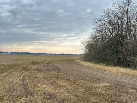 CAMPO de 27,2 hectareas en La Luisa - cerca Capital Sarmiento y Arrecifes