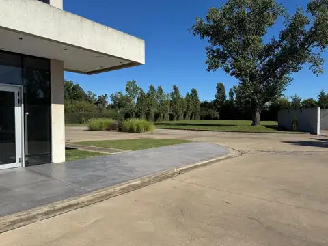 Local en Alquiler A Estrenar