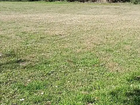 Terreno en Venta de 800,0 m2