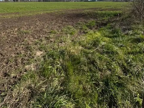 Venta de Campo en Cortines