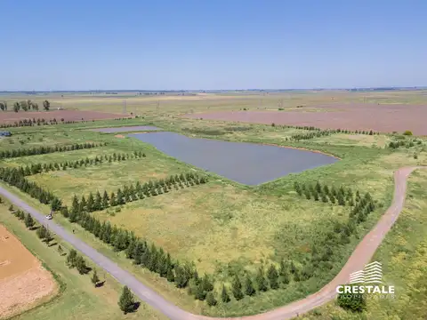 Campo en venta - Haras de Funes