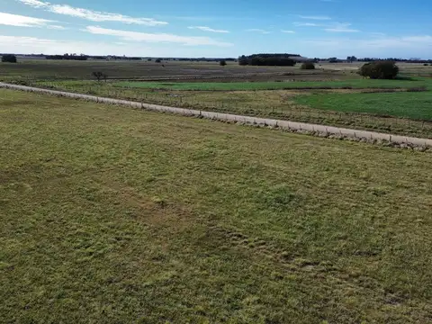 Campo en venta - 50 Hectáreas - General Madariaga