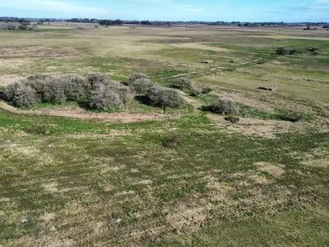Campo en venta - 50 Hectáreas - General Madariaga