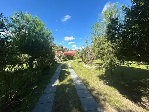 Casa Quinta “La Sofía” – Amplio entorno natural sobre Ruta 215