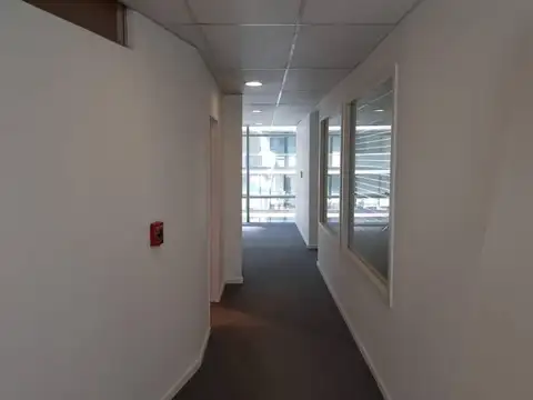 Olga Cossettini al 1500