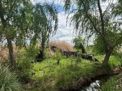 Terreno en venta Tunuyán