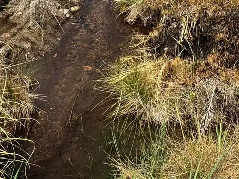 Terreno en Venta de 200000,0 m2