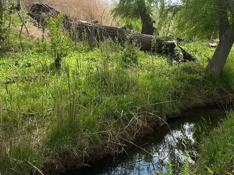 Terreno en Venta de 200000,0 m2