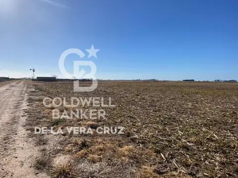 Campo en Luis Palacios, Provincia de Santa Fe