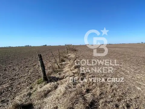 Campo en Luis Palacios, Provincia de Santa Fe