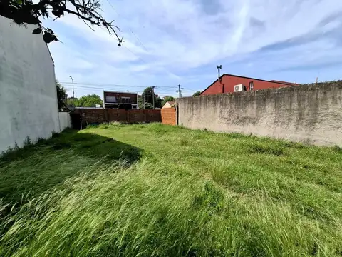 EXCELENTE LOTE, MEDIDAS 10,50 x 27,83