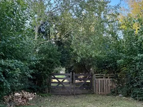 Se venden 2 lotes de 246M2 cada uno, juntos o por separado. Francisco Álvarez, Moreno.