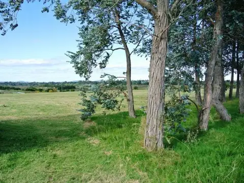 Lote | RUTA INTERBALNEARIA