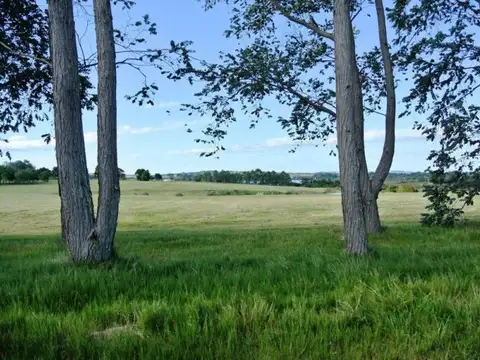 Lote | RUTA INTERBALNEARIA