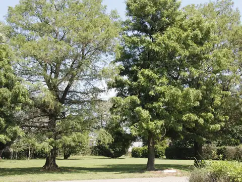 AMPLIO TERRENO EN BARRIO PRIVADO SAN LORENZO