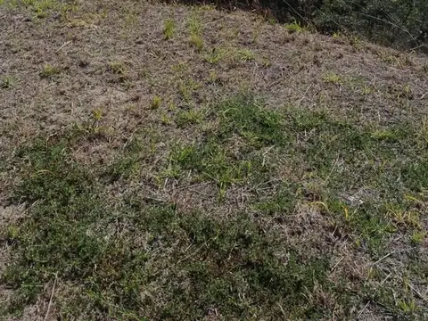 Terreno en Venta de 105881,0 m2