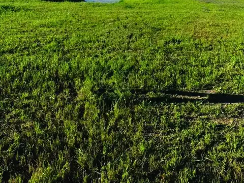 EL TERRENO CON MAYOR PROYECCIÓN EN NUEVOS AIRES