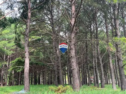 Terreno en Venta de 1578,0 m2