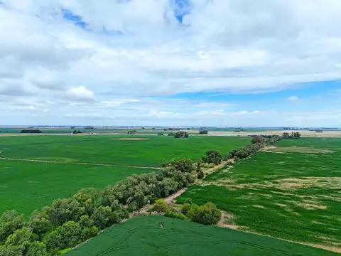 San Andrés de Giles287