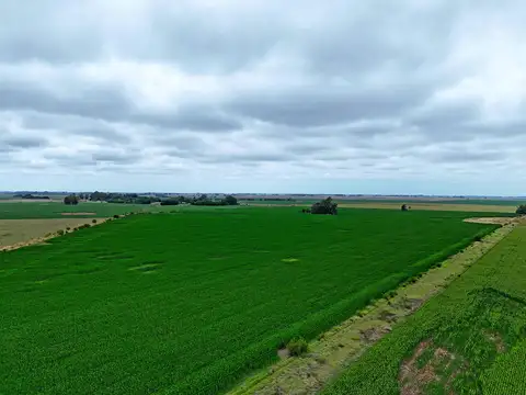 San Andrés de Giles287