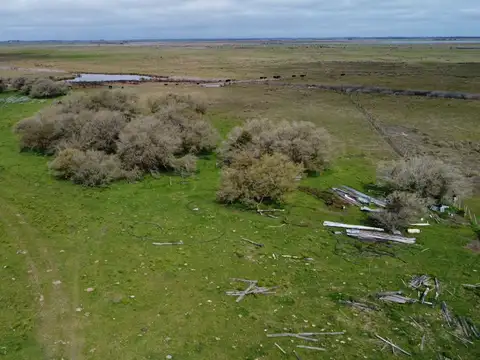 Campo Venta Gral. Lavalle 249 ha.- Sobre Asfalto