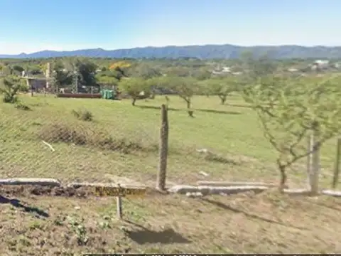 Los Castillos & Las Palmeras