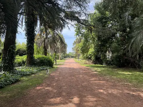 Terreno en Venta en Joaquín Gorina, USD 145.000