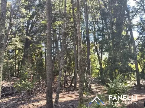 Terreno en Venta de 5,0 m2