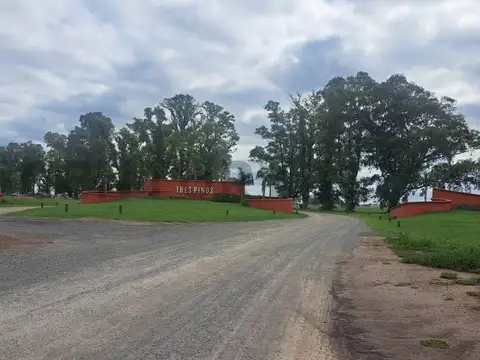 RUTA 6 100, Piso 0