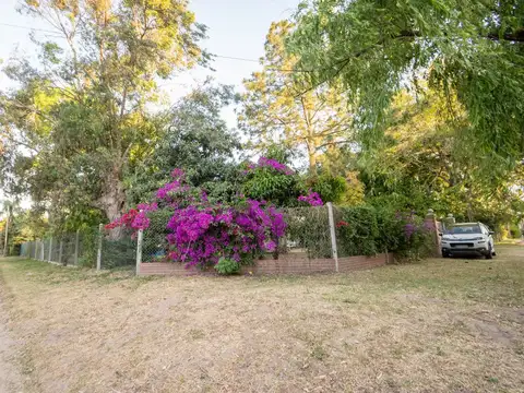 San Francisco de Asís 5400