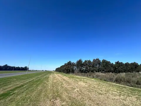 Brigadier General Manuel Oribe 8700