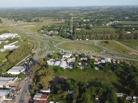 RUTA 5 100