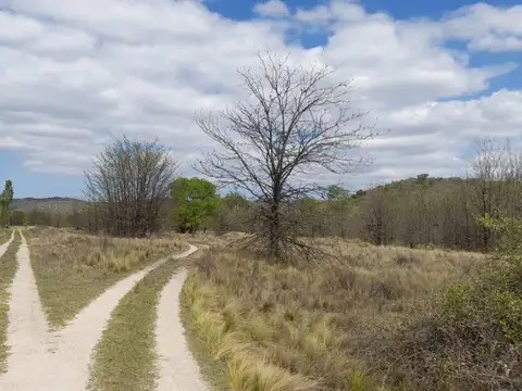 Ruta 14