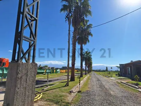 Terreno en Venta de 523,0 m2