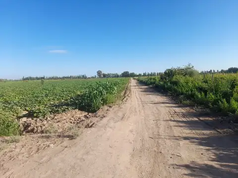 VENTA 47 has Lavalle casa y galpón