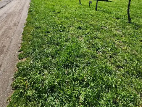 Terreno en Venta 22  mts Frente