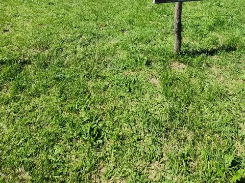 Lote en Venta 