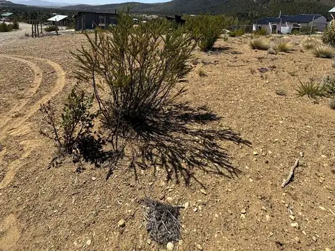 Cerro Ñireco - Mirador del Challhuaco