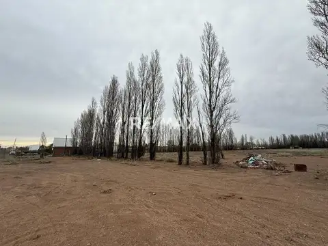 Venta chacra 2 hectáreas - Plottier frente a ruta