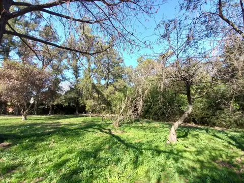 vendo lote en Moreno