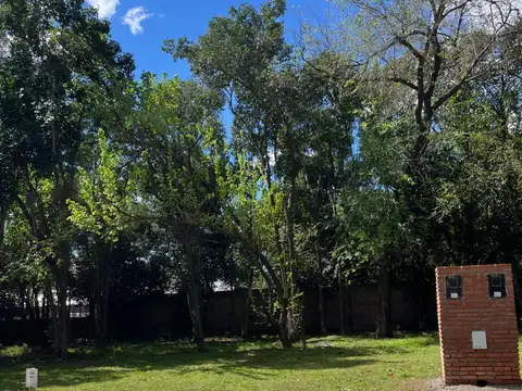 Terreno en Venta 12  mts Fondo