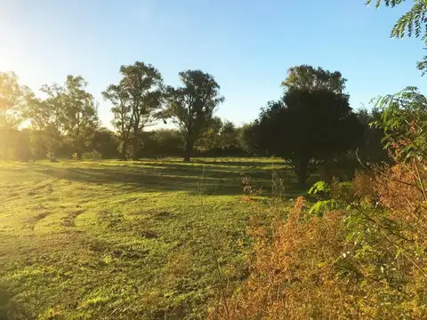 Terreno en Venta de 29430,0 m2