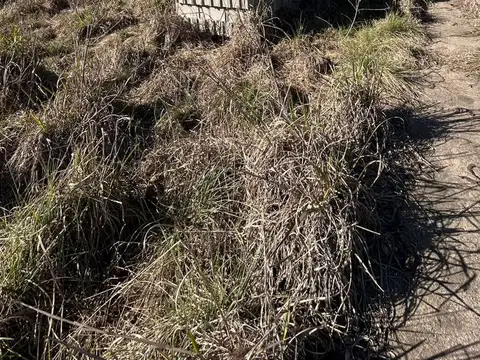 Terreno en Venta 30  mts Fondo